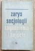 Zygmunt Bauman Zarys socjologii. Zagadnienie i pojęcia